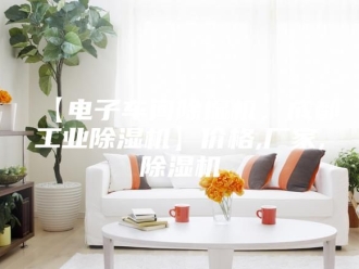 常见问题【电子车间除湿机，成都工业除湿机】价格,厂家,除湿机