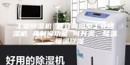 工业除湿机 普立调温型工业除湿机 具制冷功能 可升温、降温、恒温除湿