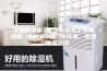 工业除湿机 普立调温型工业除湿机 具制冷功能 可升温、降温、恒温除湿