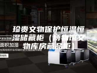 常见问题珍贵文物保护恒温恒湿储藏柜（博物馆文物库房藏品柜）
