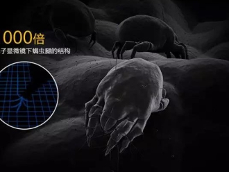 企业新闻螨虫高发季，家用除湿机除螨有妙计！