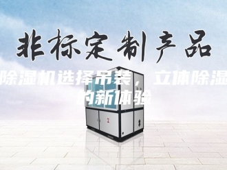 企业新闻除湿机选择吊装，立体除湿的新体验