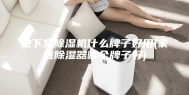 地下室除湿机什么牌子好用(家庭除湿器哪个牌子好)