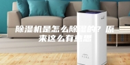 除湿机是怎么除湿的？原来这么有意思