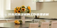 冷冻式除湿机的工作原理讲解