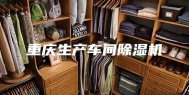 重庆生产车间除湿机