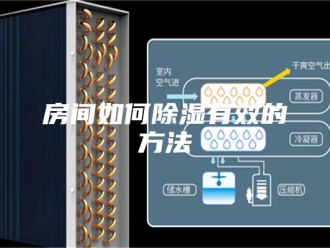 知识百科房间如何除湿有效的方法