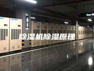 企业新闻除湿机除湿原理
