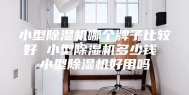 小型除湿机哪个牌子比较好 小型除湿机多少钱 小型除湿机好用吗