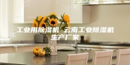 工业用除湿机 云南工业除湿机生产厂家