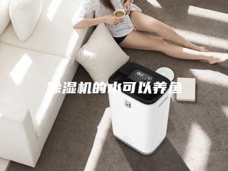 企业新闻除湿机的水可以养鱼