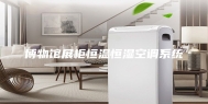 博物馆展柜恒温恒湿空调系统