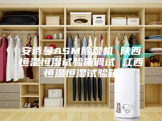 企业新闻安诗曼ASM除湿机 陕西恒温恒湿试验箱调试 江西恒温恒湿试验箱
