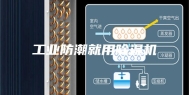 工业防潮就用除湿机