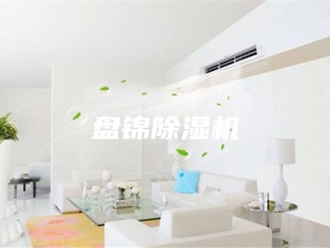 行业新闻盘锦除湿机