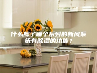 知识百科什么牌子哪个系列的新风系统有除湿的功能？