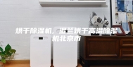 烘干除湿机, 湿兰烘干高温除湿机北京市