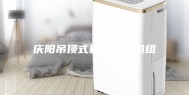 庆阳吊顶式新风空调机组