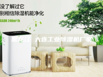 企业新闻黑龙江 大连工业除湿机厂家