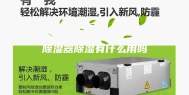 除湿器除湿有什么用吗