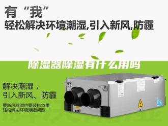 知识百科除湿器除湿有什么用吗