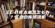 工厂仓库太潮湿怎么办？工业仓库除湿机