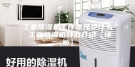 工业除湿机工作原理是什么 工业除湿机特点介绍【详解】
