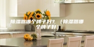 除湿器哪个牌子好？（除湿器哪个牌子好）