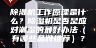 除湿机工作原理是什么？除湿机是否是应对潮湿的最好办法（有哪些品牌推荐）？