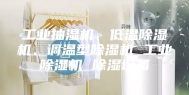 工业抽湿机、低温除湿机、调温型除湿机 工业除湿机 除湿设备