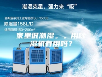 行业新闻家里很潮湿。。用除湿机有用吗？