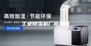 工业除湿机厂商直销