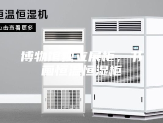 知识百科博物馆独立展柜，书画恒温恒湿柜