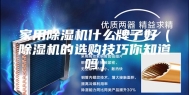 家用除湿机什么牌子好（除湿机的选购技巧你知道吗）