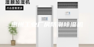 惠州工业厂房防潮除湿机