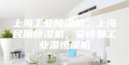 上海工业除湿机，上海民用除湿机，安诗曼工业温恒湿机