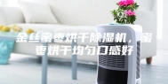 金丝蜜枣烘干除湿机，蜜枣烘干均匀口感好