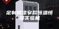 定制烤漆窄款恒温恒湿实验机