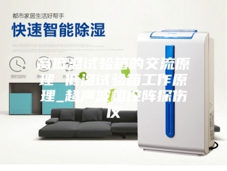 知识百科高低温试验箱的交流原理 低温试验箱工作原理_超声波相控阵探伤仪