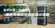 重庆可编程恒温恒湿试验箱