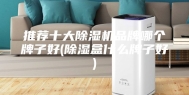 推荐十大除湿机品牌哪个牌子好(除湿盒什么牌子好)