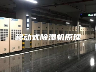 行业新闻移动式除湿机原理