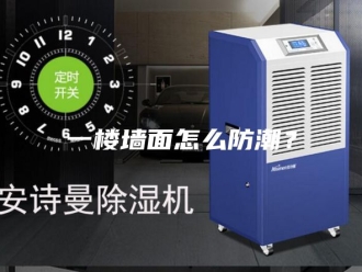 知识百科一楼墙面怎么防潮？