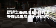杭州工业除湿机品牌(工业除湿机品牌十大排名)