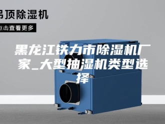 企业新闻黑龙江铁力市除湿机厂家_大型抽湿机类型选择