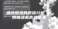 墙皮脱落的原因分析 家用抽湿机高效防潮