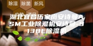 湖北宜昌伍家岗安诗曼ASM工业除湿机安诗曼-9138E除湿机