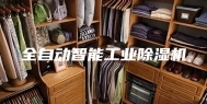 全自动智能工业除湿机