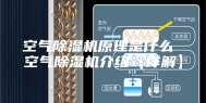 空气除湿机原理是什么 空气除湿机介绍【详解】