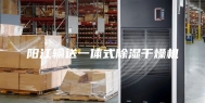 阳江输送一体式除湿干燥机